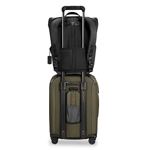 Briggs & Riley ZDX-Expandable Luggage with 4 Spinner Wheels, Hunter